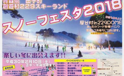 創遊村229スキーランド スノーフェスタ2018