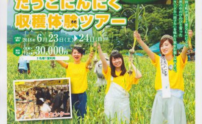 田子にんにく収穫体験ツアー2018 チラシ オモテ