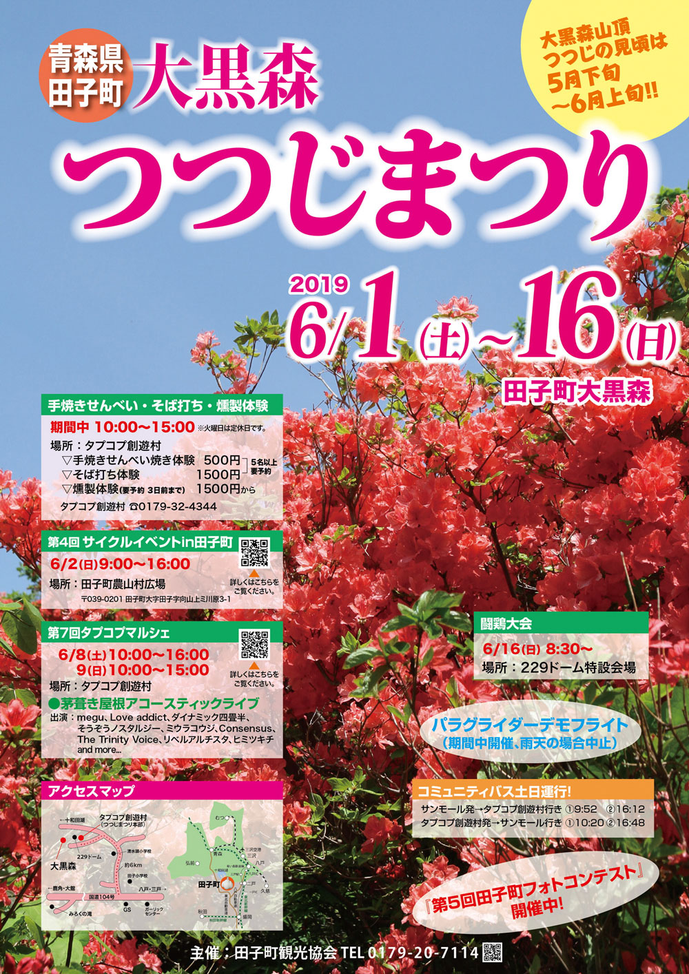 田子町 大黒森 つつじ祭り