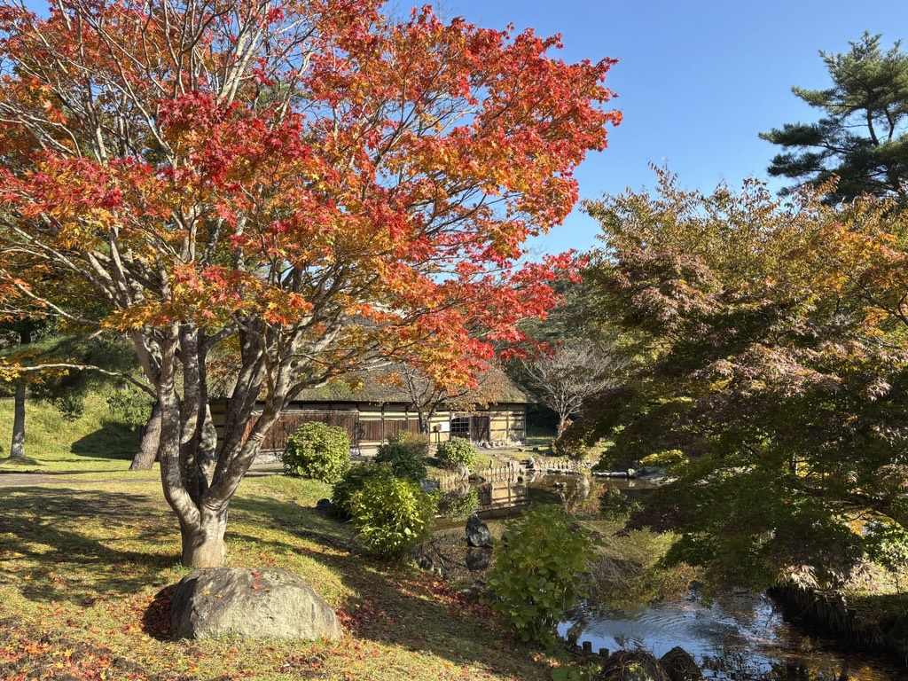 R7創遊村の紅葉写真せんべいの家