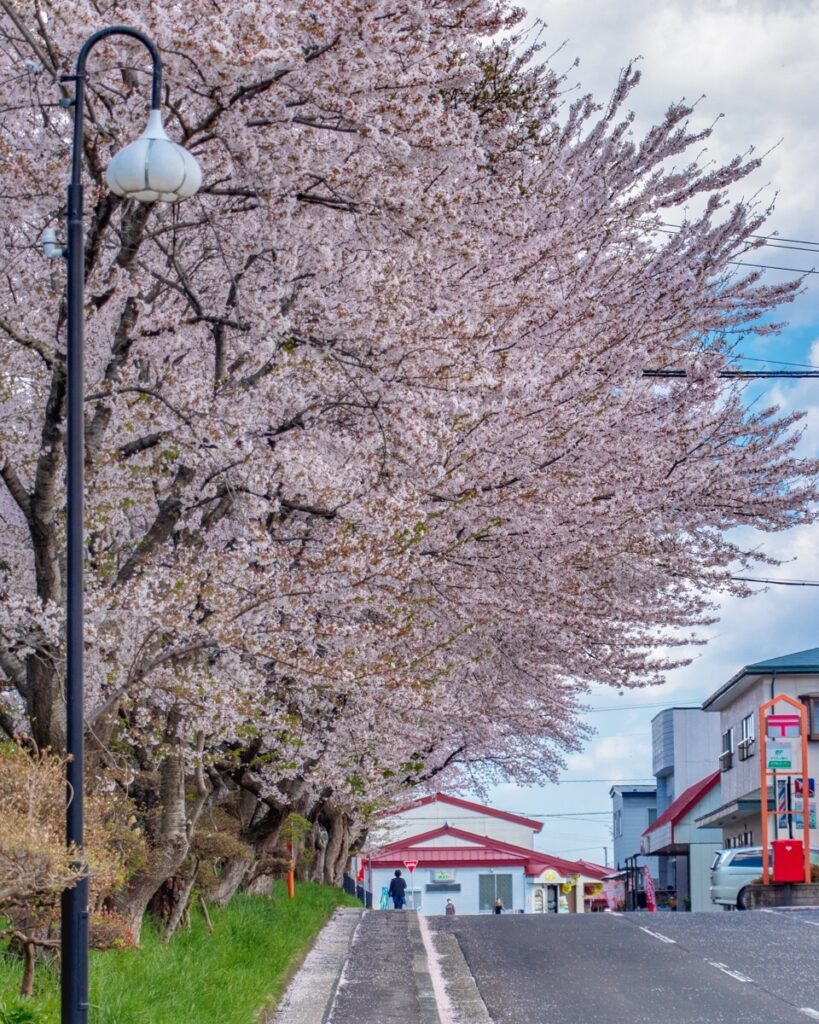 さくら郵便局前